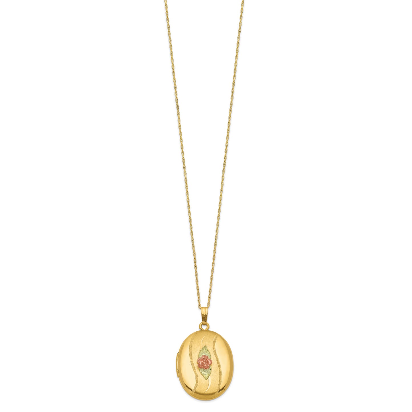 10k Tri Color w/ 12k Accents and 14k Gold-filled Chain Black Hills Locket