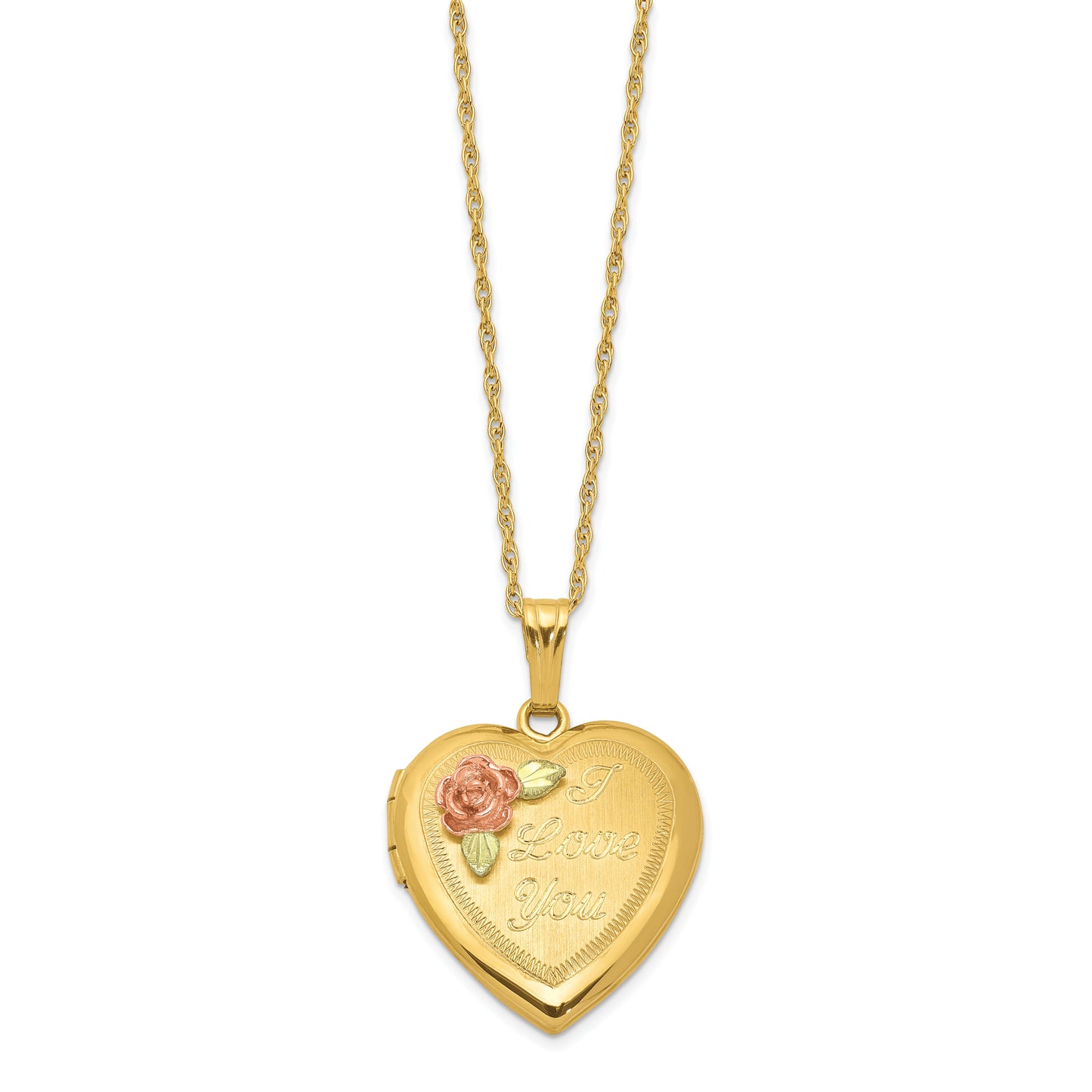 10k Tri Color w/ 12k Accents and 14k Gold-filled Chain Black Hills Locket