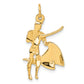 14k Yellow Gold 14k Matador Charm