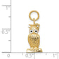 14k Yellow Gold 14K Graduation Owl Charm with Enamel