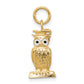 14k Yellow Gold 14K Graduation Owl Charm with Enamel