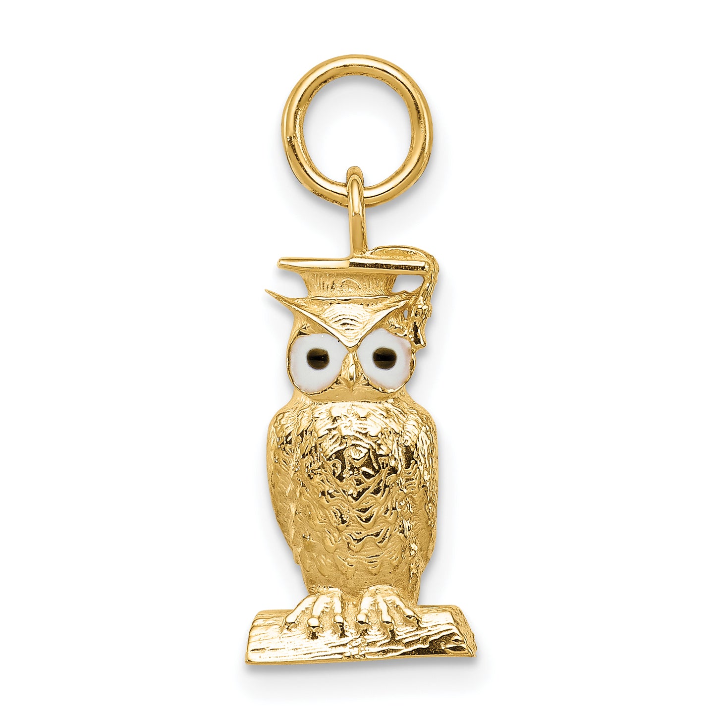 14k Yellow Gold 14K Graduation Owl Charm with Enamel