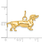 14k Yellow Gold 14k 3D Dachshund Dog Charm