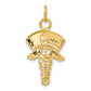 14k Yellow Gold 14k Nurse Symbol Charm