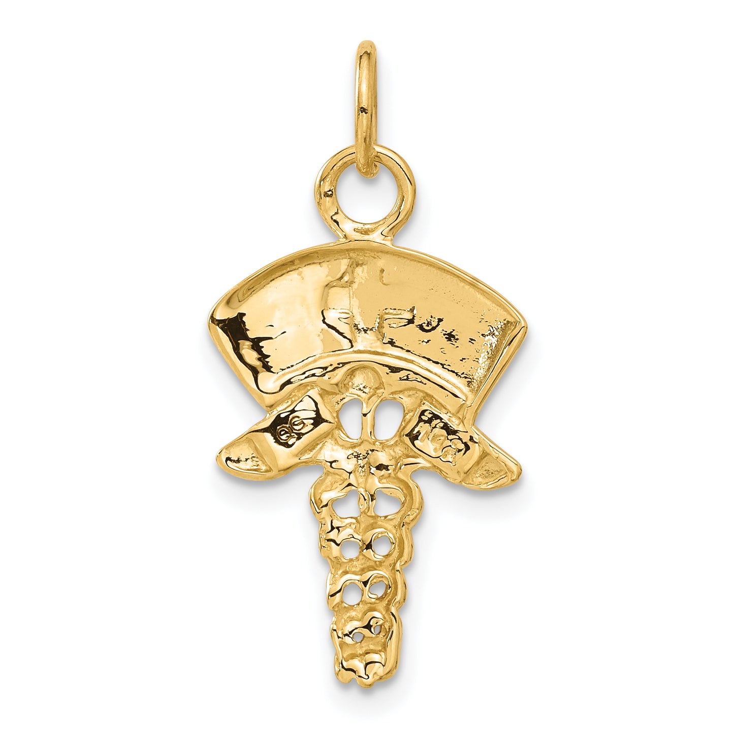 14k Yellow Gold 14k Nurse Symbol Charm