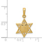 14K Yellow Gold Star Of David W/Tablets In Center Pendant