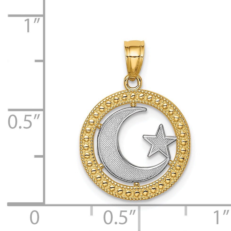 14K Yellow & Rhodium W/Rhodium Star Moon Pendant