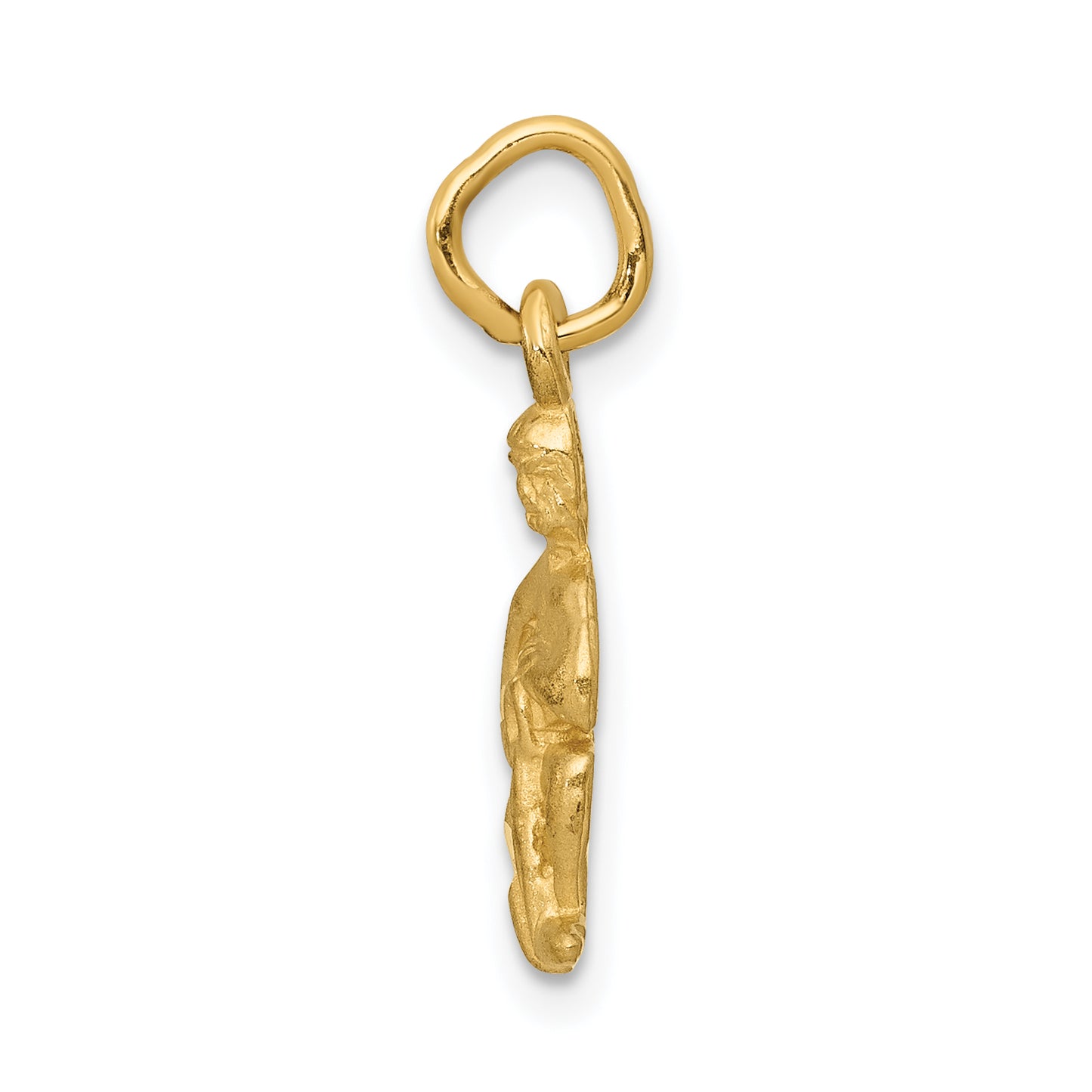 14K Yellow Gold Satin Diamond-Cut Aquarius Zodiac Charm