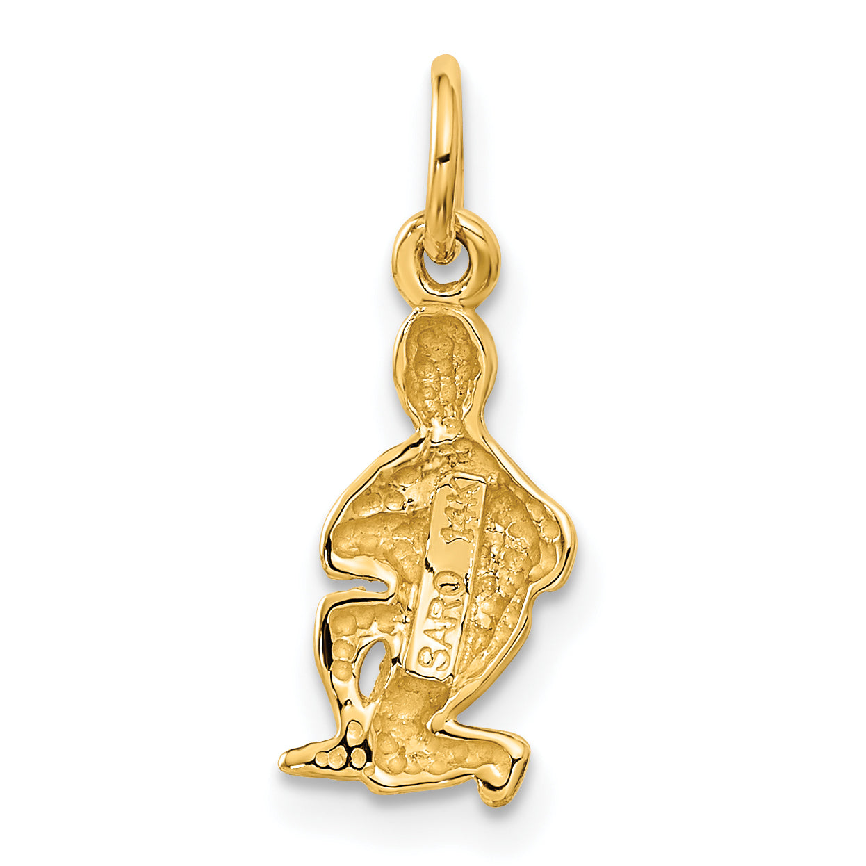 14K Yellow Gold Satin Diamond-Cut Aquarius Zodiac Charm