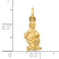 14K Yellow Gold Satin Diamond-Cut Aquarius Zodiac Charm