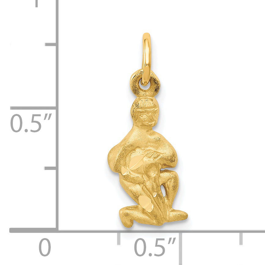 14K Yellow Gold Satin Diamond-Cut Aquarius Zodiac Charm