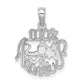 14K White Gold Wg 100% Aquarius Zodiac Charm