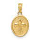 14K Yellow Gold Polished Small Fleur De Lis In Oval Pendant