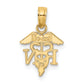 14K Yellow Gold Rn Caduceus Charm