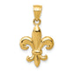 14K Yellow Gold Polished Fleur De Lis Pendant