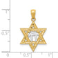 14K Yellow & Rhodium W/Rhodium Star Of David W/Chai Pendant