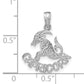 14K White Gold Wg Capricorn Zodiac Charm