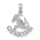 14K White Gold Wg Capricorn Zodiac Charm