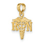 14K Yellow Gold Rn Caduceus Charm