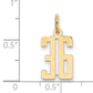 14K Yellow Gold Small Elongated Number 36 Charm