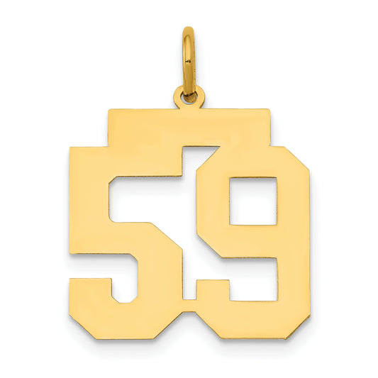 14k Yellow Gold 14k Medium Polished Number 59 Charm