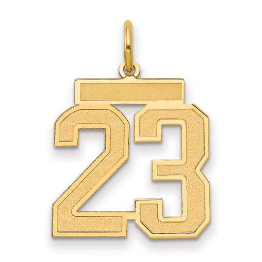 14k Yellow Gold 14k Medium Satin Number 23 Charm