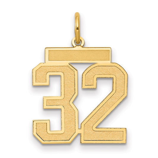 14k Yellow Gold 14k Medium Satin Number 32 Charm