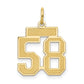 14k Yellow Gold 14k Small Satin Number 58 Charm