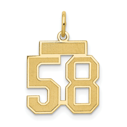 14k Yellow Gold 14k Small Satin Number 58 Charm