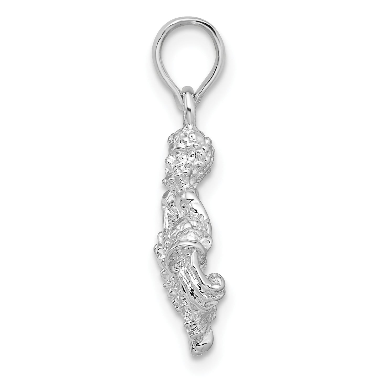 Sterling Silver De-Ani Rhodium-Plated Polished 3D Aquarius Zodiac Pendant