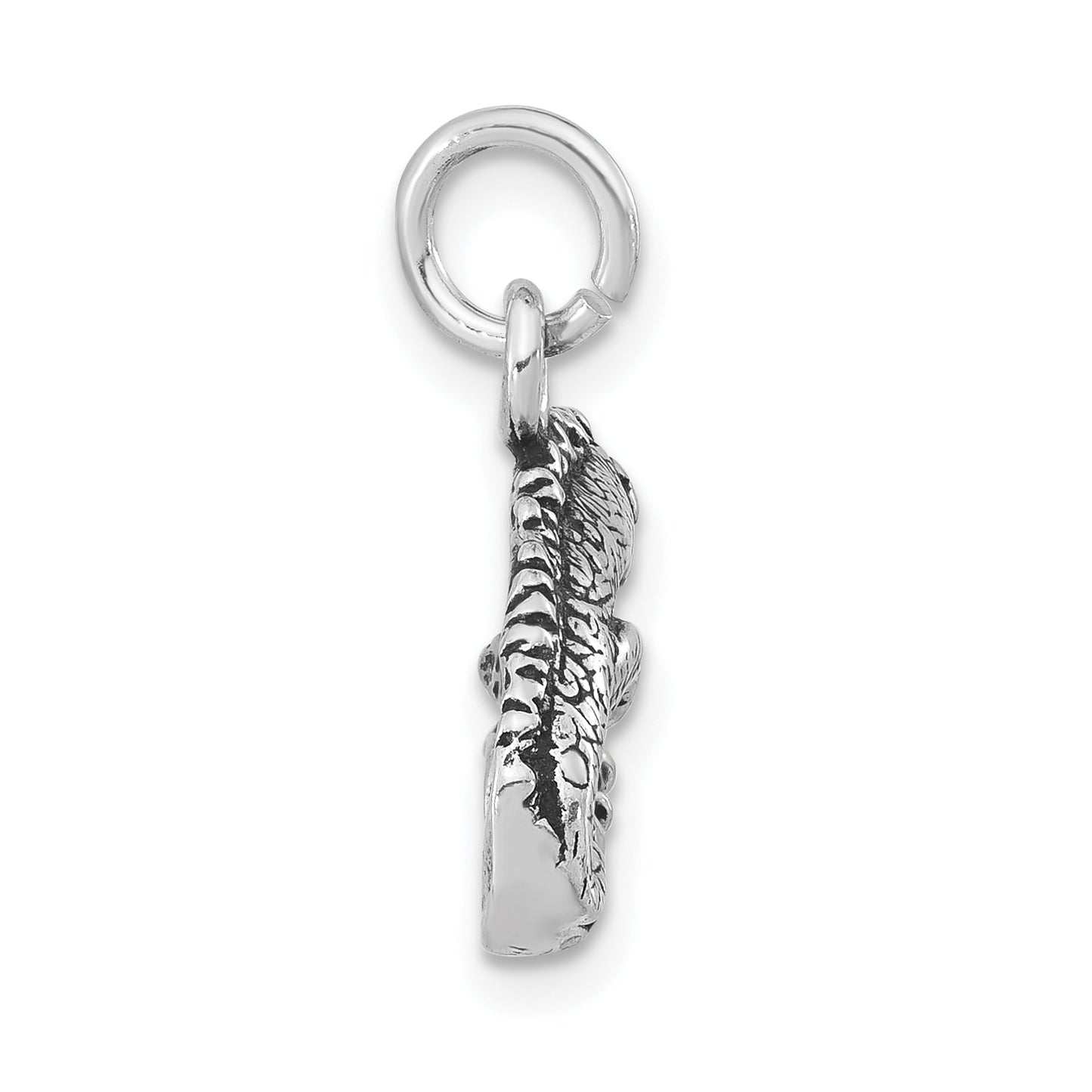 Sterling Silver Antiqued & Textured Iguana Pendant