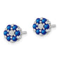 Sterling Silver Rhodium Sapphire & Diamond Post Earrings