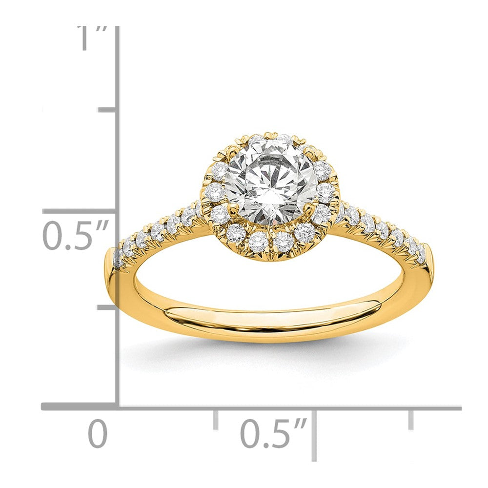 14k Yellow Gold 3/4 Ct. Lab Grown Diamond VS/SI+ G+ Round Complete Size 9 Halo Engagement Ring