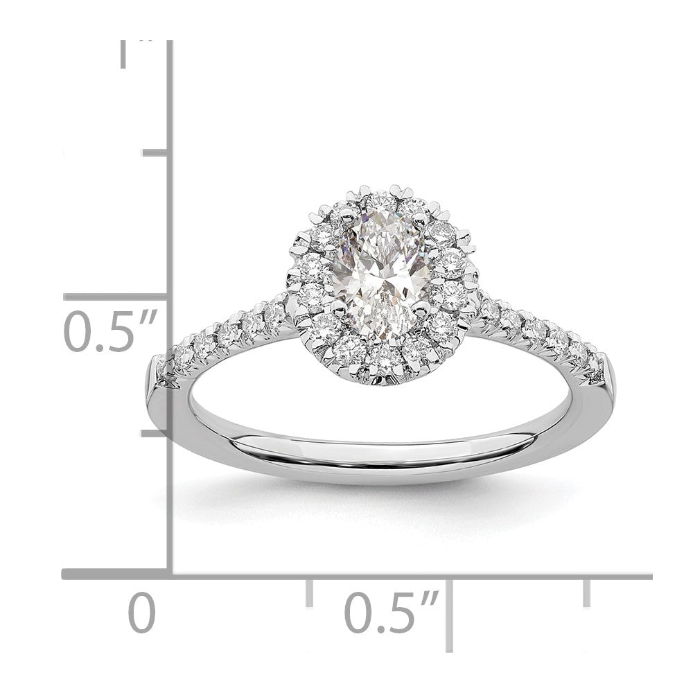 14k White Gold 1/3 Ct. Lab Grown Diamond VS/SI+ G+ 1/2 Ct. Center Oval Semi Mount Halo Engagement Ring