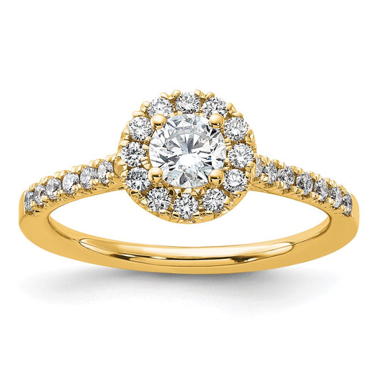 14k Yellow Gold 3/4 Ct. Lab Grown Diamond VS/SI+ G+ Round Complete Halo Engagement Ring