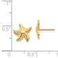 14K Yellow Gold Madi K Starfish Post Earrings