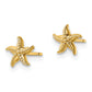 14K Yellow Gold Madi K Starfish Post Earrings