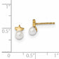 14K Yellow Gold Freshwater Cultured Pearl Star Polished Post Earrings