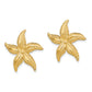 14K Yellow Gold 2-D Polished And Textured Starfish Post Earrings