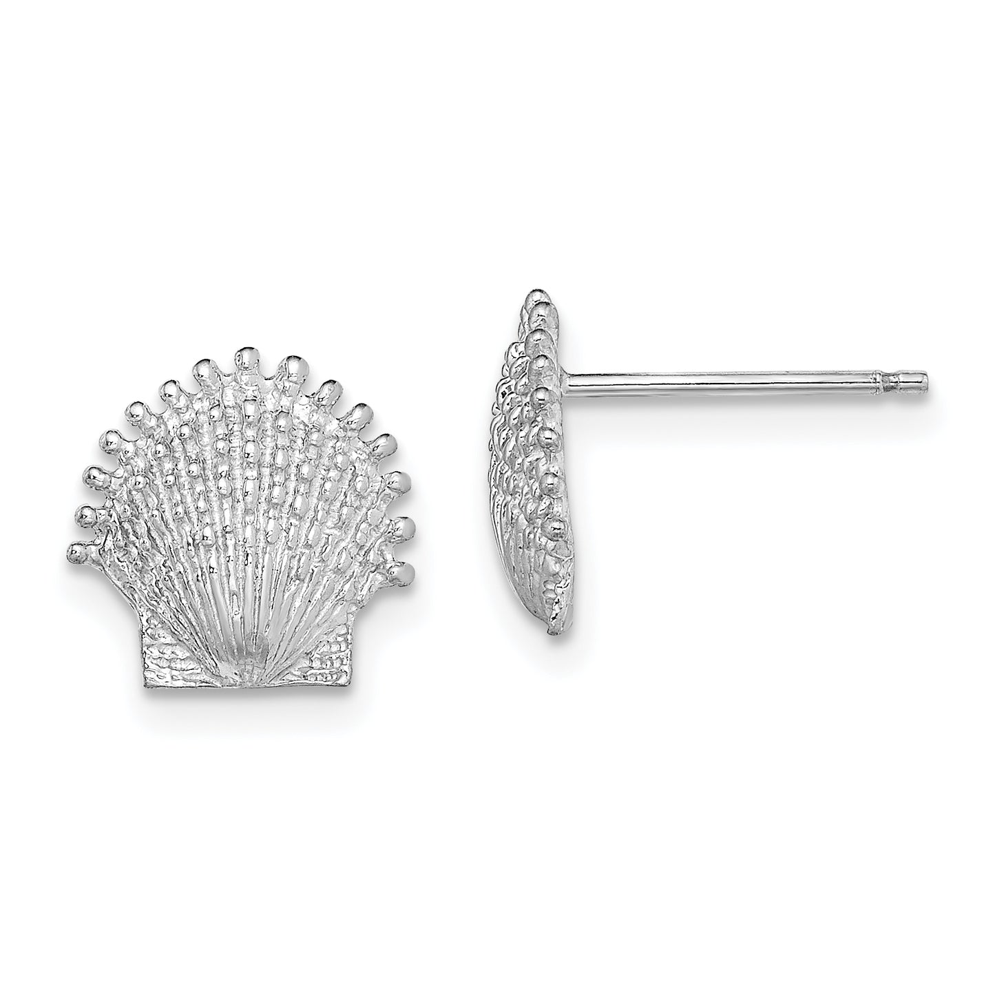 14K White Gold Beaded Scallop Shell Post Earrings