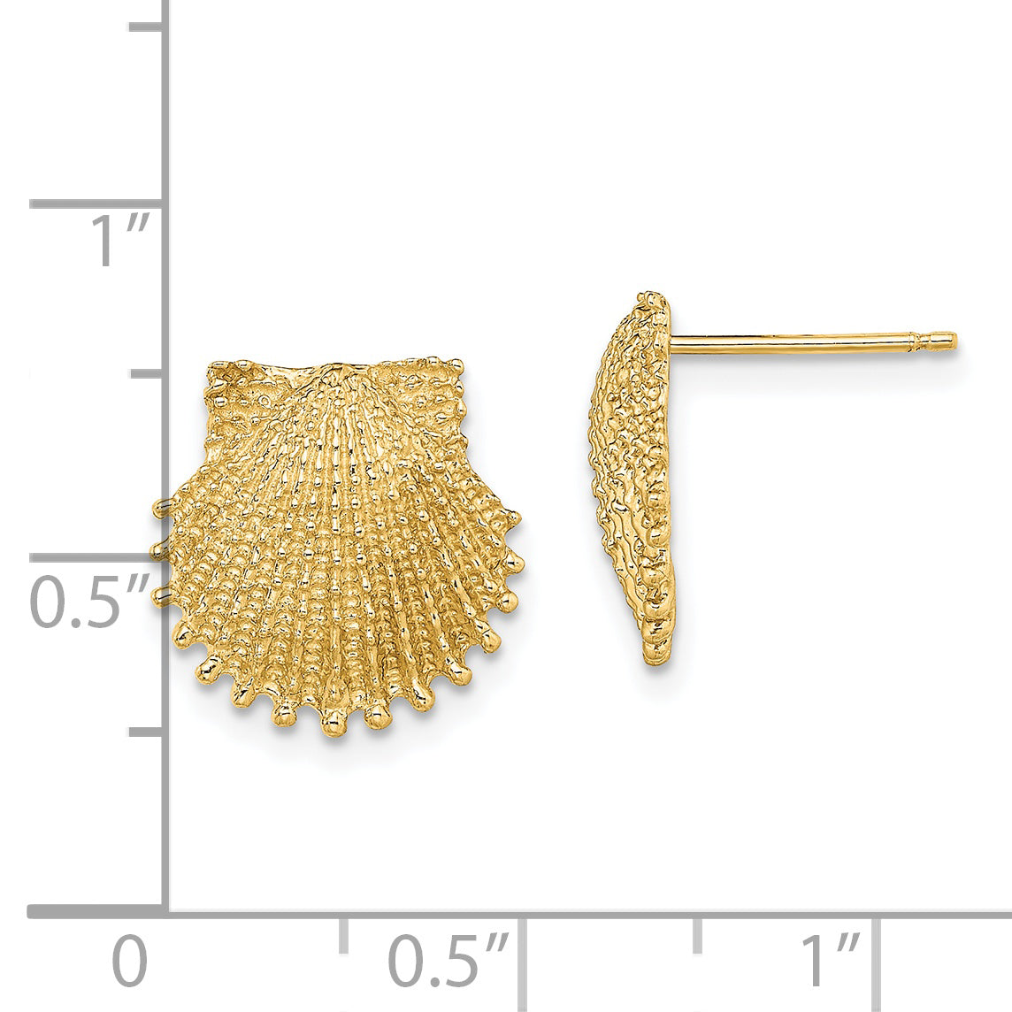 14K Yellow Gold Beaded Scallop Shell Post Earrings