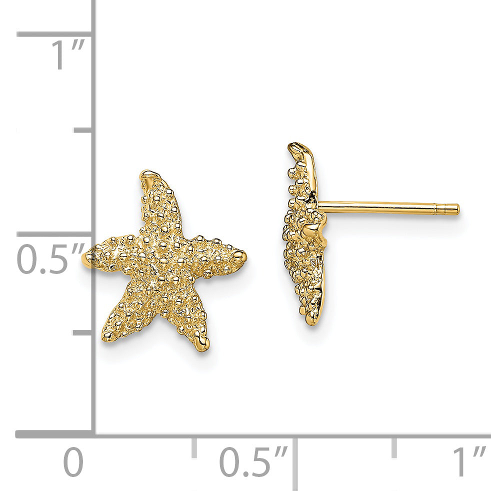 14K Yellow Gold Textured Starfish Post Earrings