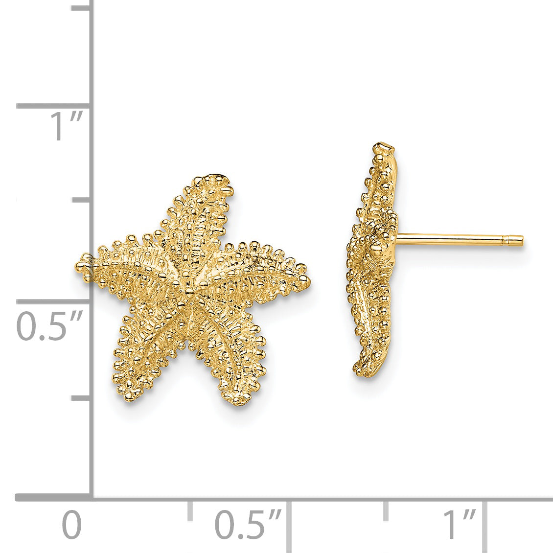 14K Yellow Gold Textured And Beaded Starfish Post Earrings