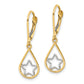 14K Yellow & Rhodium W/Rhodium Star In Teardrop Leverback Dangle Earrings