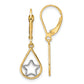 14K Yellow & Rhodium W/Rhodium Star In Teardrop Leverback Dangle Earrings