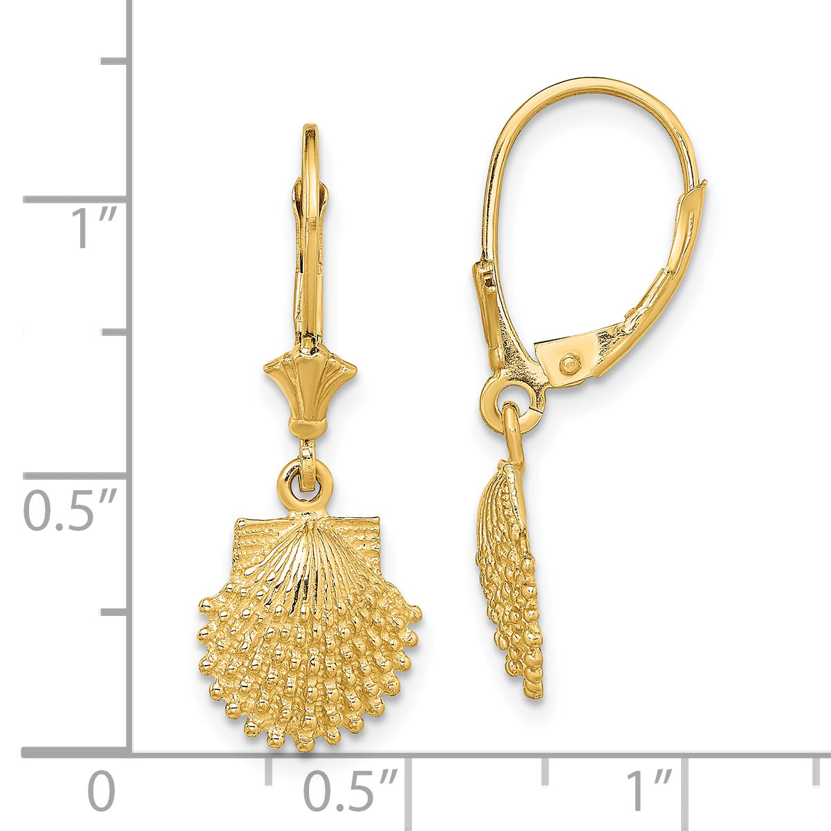 14K Yellow Gold 2-D Beaded Scallop Shell Leverback Earrings