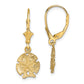 14K Yellow Gold Sand Dollar W/Star Leverback Earrings