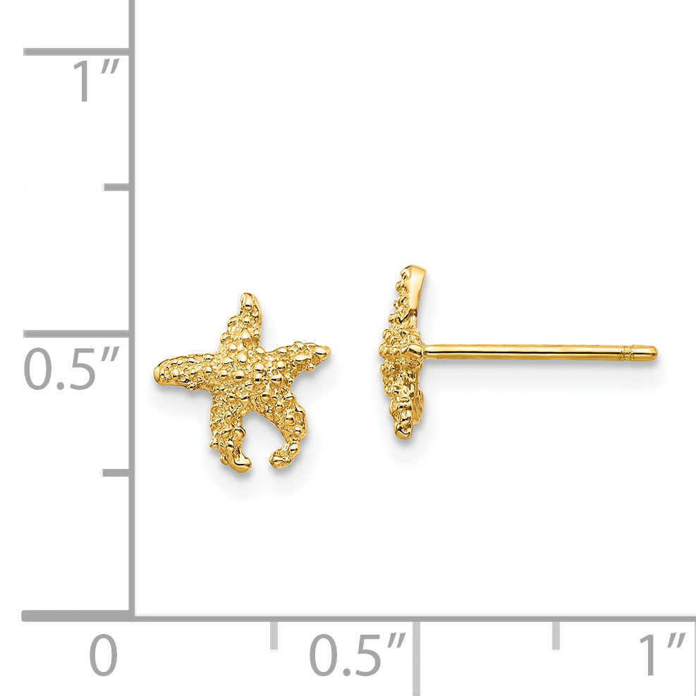 14K Yellow Gold Polished And Textured Starfish Post Earrings