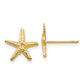 14K Yellow Gold Starfish Post Earrings