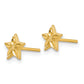 14K Yellow Gold Polished And D/C Star Post Earrings